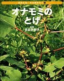 オナモミのとげの表紙