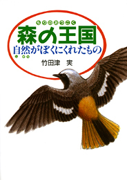 森の王国の表紙