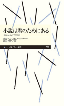 小説は君のためにあるの表紙