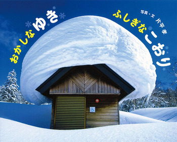 おかしなゆきふしぎなこおりの表紙