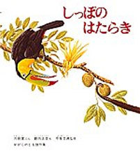 しっぽのはたらきの表紙