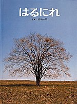 はるにれの表紙